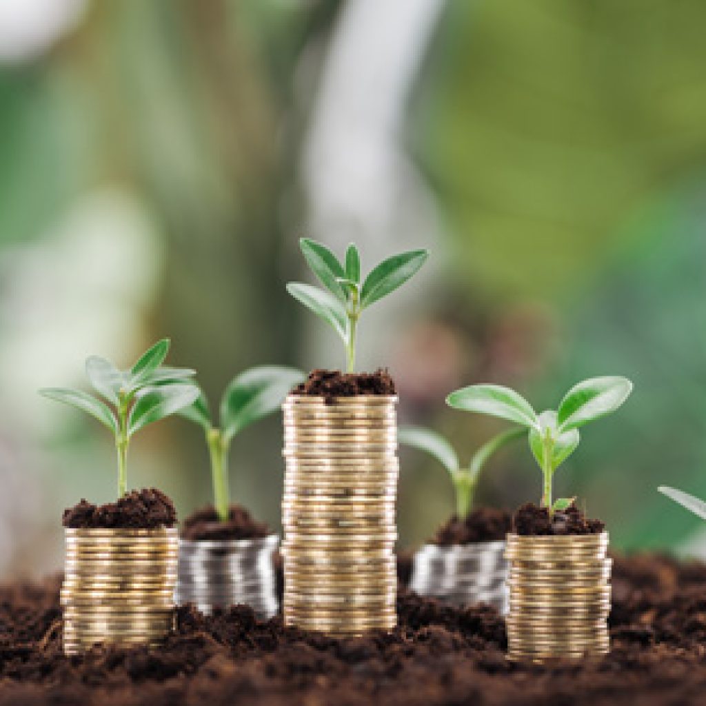 Mikrokreditiranje - prednosti i nedostaci